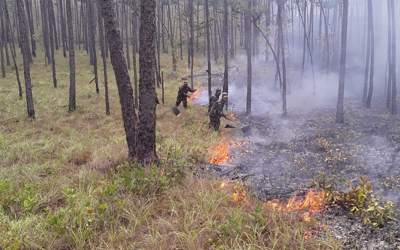 INCENDIO2